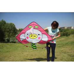 DIỀU CHÚ HEO PIGGY