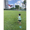DIỀU DƠI ĐEN ĐỎ