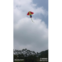 DIỀU CHÚ CHÓ MẪU LỚN