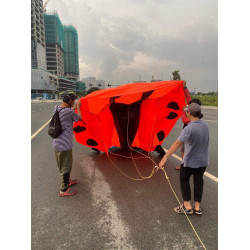 DIỀU KHÍ ĐỘNG HỌC - BỌ RÙA L