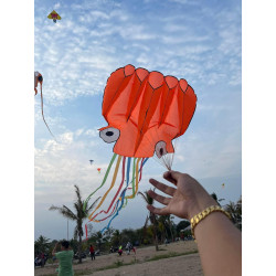 DIỀU KHÍ ĐỘNG HỌC - BẠCH TUỘC 5 MÉT