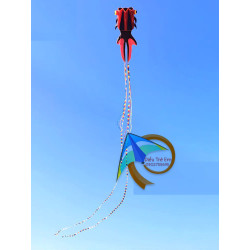 DIỀU KHÍ ĐỘNG HỌC - CÁ VÀNG GOLDFISH