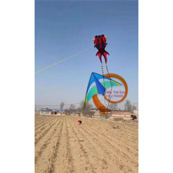 DIỀU KHÍ ĐỘNG HỌC - CÁ VÀNG GOLDFISH