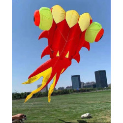 DIỀU KHÍ ĐỘNG HỌC - CÁ BA ĐUÔI 9 MÉT