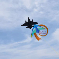 DIỀU MÁY BAY ĐEN 2M