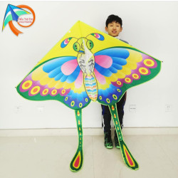 DIỀU BƯỚM COLOR 1M6