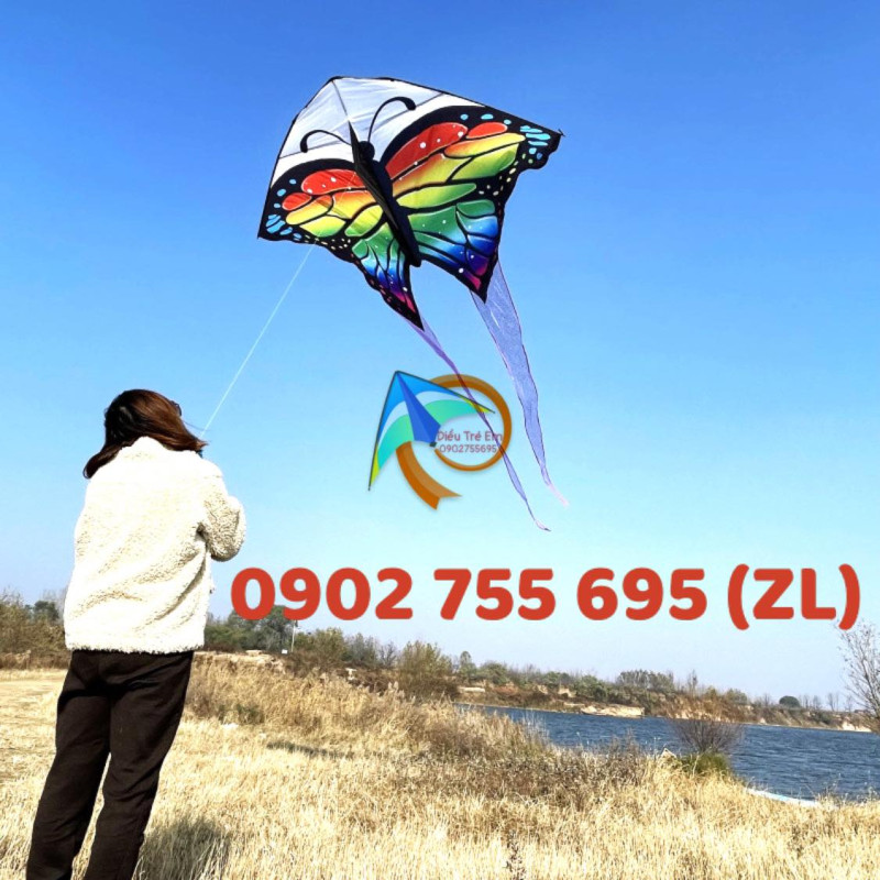 DIỀU BƯỚM SẮC MÀU 1M6