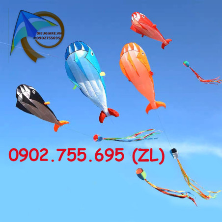 DIỀU KHÍ ĐỘNG HỌC - CÁ VOI