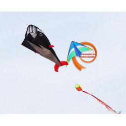 DIỀU KHÍ ĐỘNG HỌC - CÁ VOI