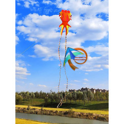 DIỀU KHÍ ĐỘNG HỌC - CÁ VÀNG GOLDFISH