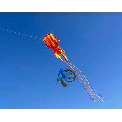 DIỀU KHÍ ĐỘNG HỌC - CÁ VÀNG GOLDFISH