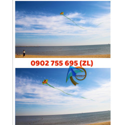 DIỀU RẮN 45 MÉT