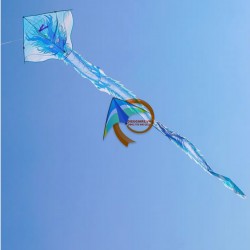 DIỀU RỒNG LỬA - RỒNG BĂNG