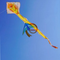 DIỀU RỒNG LỬA - RỒNG BĂNG