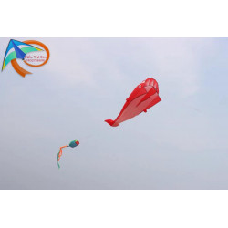 DIỀU KHÍ ĐỘNG HỌC - CÁ VOI