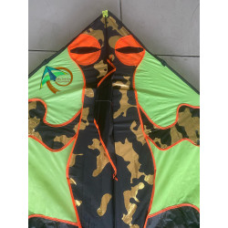 DIỀU TẮC KÈ