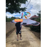 DIỀU HẠC 2 MÉT