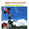 DIỀU CÁ MẬP LỚN
