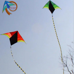 DIỀU DELTA NGÔI SAO