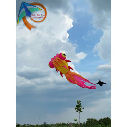 DIỀU KHÍ ĐỘNG HỌC - CÁ BA ĐUÔI 9 MÉT