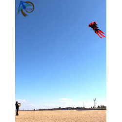 DIỀU KHÍ ĐỘNG HỌC - CÁ BA ĐUÔI 9 MÉT