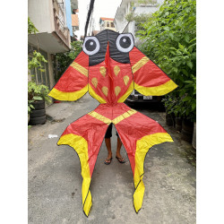 DIỀU CÁ VÀNG GOLDFISH 2M
