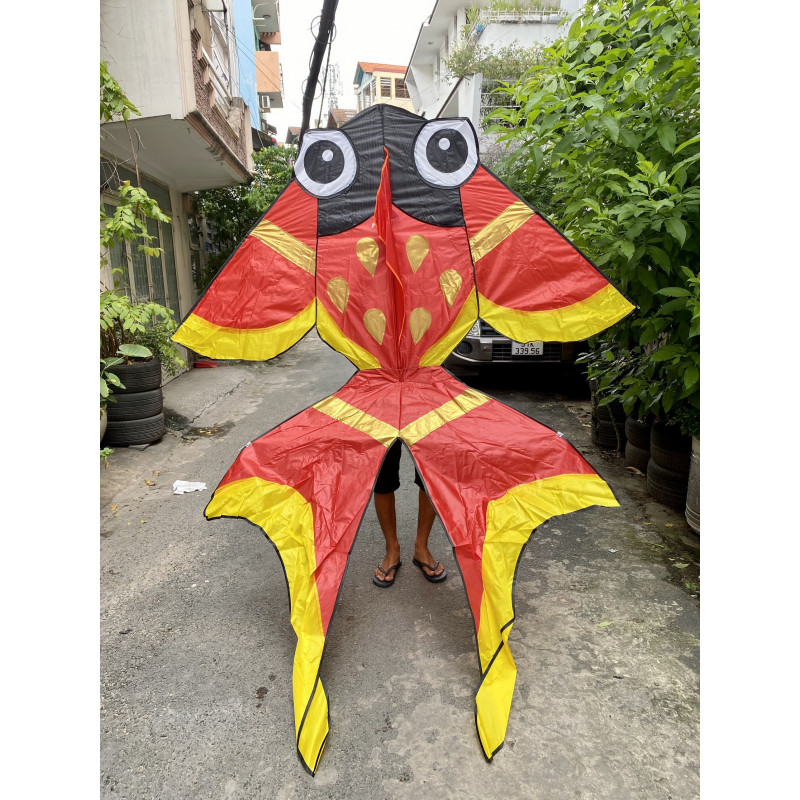 DIỀU CÁ VÀNG GOLDFISH 2M