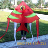 DIỀU CÁ DĨA
