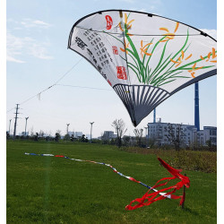DIỀU CÂY QUẠT 1M75