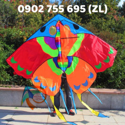 DIỀU BƯỚM ĐA SẮC 2M2