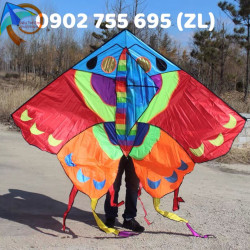 DIỀU BƯỚM ĐA SẮC 2M2